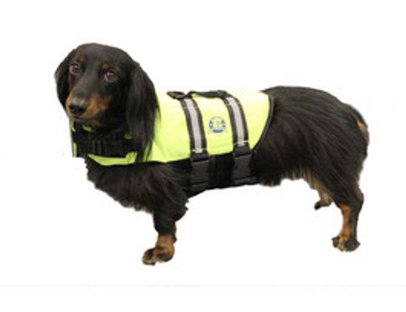 Flytevest