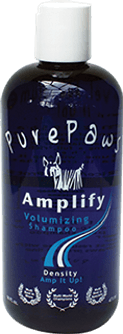 Hovedbilde Amplify Shampoo