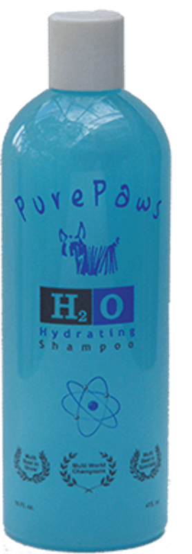 H2O Shampoo