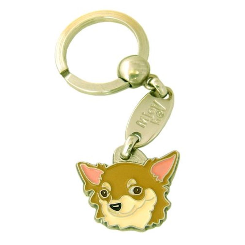 Chihuahua langhår