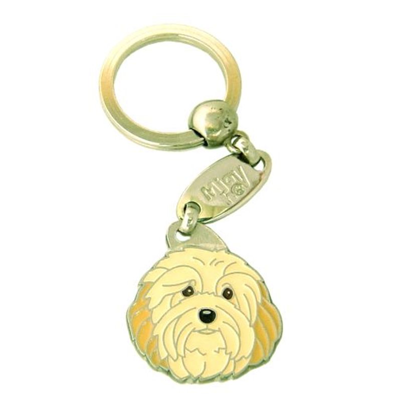 Bichon havanais