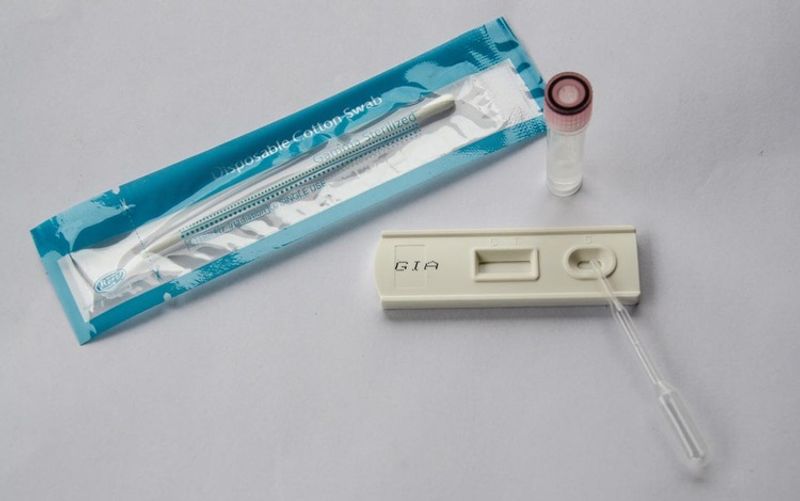Giardia hjemmetest