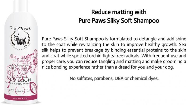 Silky Soft Shampoo