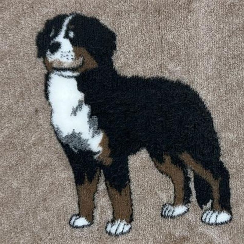 Vetbed brunmelert - berner sennen