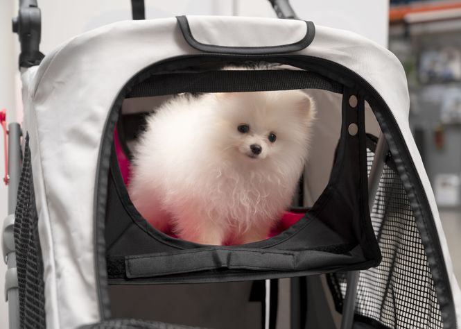 Hovedbilde Hammock til stroller 