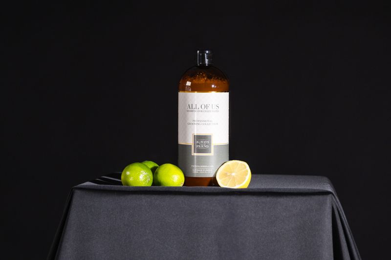 AYF All Of Us Shampoo 235 ml